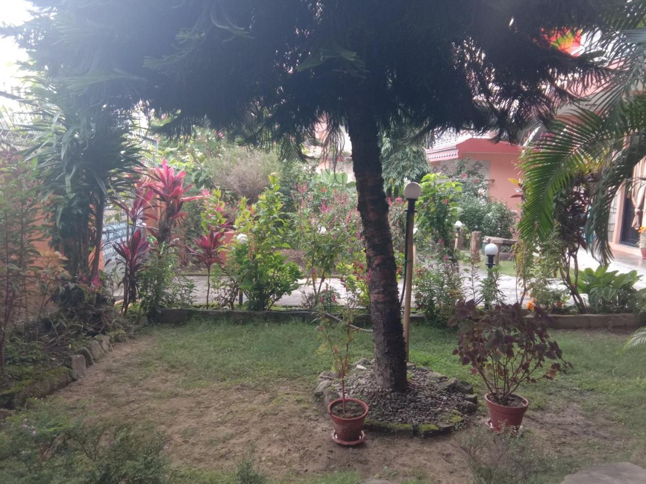 Kalpana G. House Hotel Pokhara Exterior photo